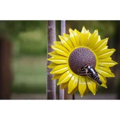 Desert Steel Wild Bird 12 Oz Steel Sunflower Bird Feeder 1 Ports -Nestify Shop 008b9c6c 46a1 4840 9af6 d64e6c778263