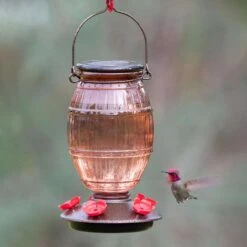 Perky-Pet Hummingbird 36 Oz Glass/Plastic Prohibition Nectar Feeder 5 Ports -Nestify Shop 051fba20 2036 4706 b18c 2a16a2a5920f