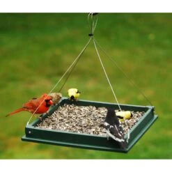 Songbird Essentials Songbird Essentials Songbird Plastic/Screen Hanging Platform Bird Feeder