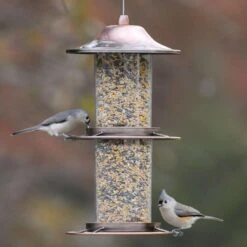 Perky-Pet Wild Bird 4.5 Lb Metal/Plastic Panorama Bird Feeder 2 Ports -Nestify Shop 0f0d93f9 6012 4f7d 8d97 e958b65c309e