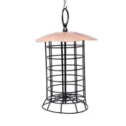 Songbird Essentials Songbird Essentials Songbird Metal Roof Suet Log Bird Feeder 5 Songbird Essentials Songbird Essentials Songbird Metal Roof Suet Log Bird Feeder -Nestify Shop 1123415f fdc9 41ac 8593 06a1724f01b0