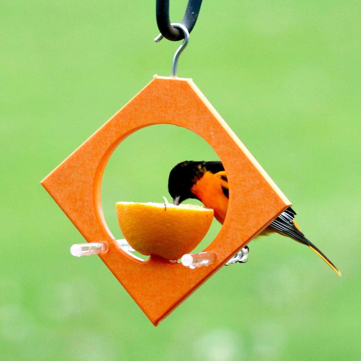 Songbird Essentials Songbird Essentials Oriole Plastic Diamond Bird Feeder 1 Ports 2 Songbird Essentials Songbird Essentials Oriole Plastic Diamond Bird Feeder 1 Ports - Image 2