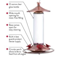 Perky-Pet Hummingbird 12 Oz Copper/Glass Nectar Feeder 4 Ports -Nestify Shop 1230be6c 16ca 437a 8ae9 a5bd83e7c38d