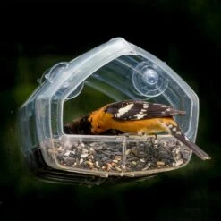 Perky-Pet Wild Bird 1 Cups Plastic Window Bird Feeder 1 Ports -Nestify Shop 197810f8 cfa1 49ab 8d1f 8e5b58946c80