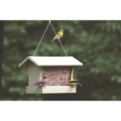 Birds Choice Wild Bird 2 Qt Plastic Hopper Bird Feeder -Nestify Shop 19f88425 1900 40fb 9057 fc48e7f91b79
