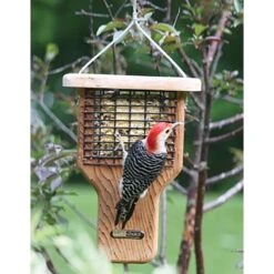 Birds Choice Suet Feeder Woodpecker 2 Lb Cedar Hanging Suet Double Suet Basket 2 Ports -Nestify Shop 1a327dd8 670c 4eef 8727 6d7219969de0