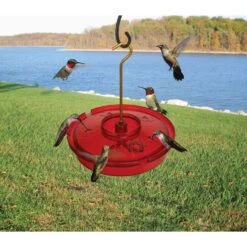 Songbird Essentials Songbird Essentials Hummingbird 16 Oz Metal/Plastic Hummingbird Feeder Nectar Fe
