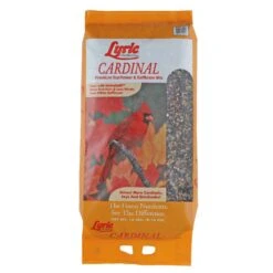 Lyric Cardinal Sunflower Seeds Wild Bird Food 18 Lb