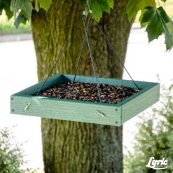 Lyric Cardinal Sunflower Seeds Wild Bird Food 3.75 Lb -Nestify Shop 20b68ac4 0f4b 449a 97ab a88baac9d4e5