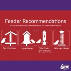Lyric Delite Chickadee Peanut Pieces Wild Bird Food 20 Lb -Nestify Shop 21885423 a38e 4af4 8d3a 7785f2f92351