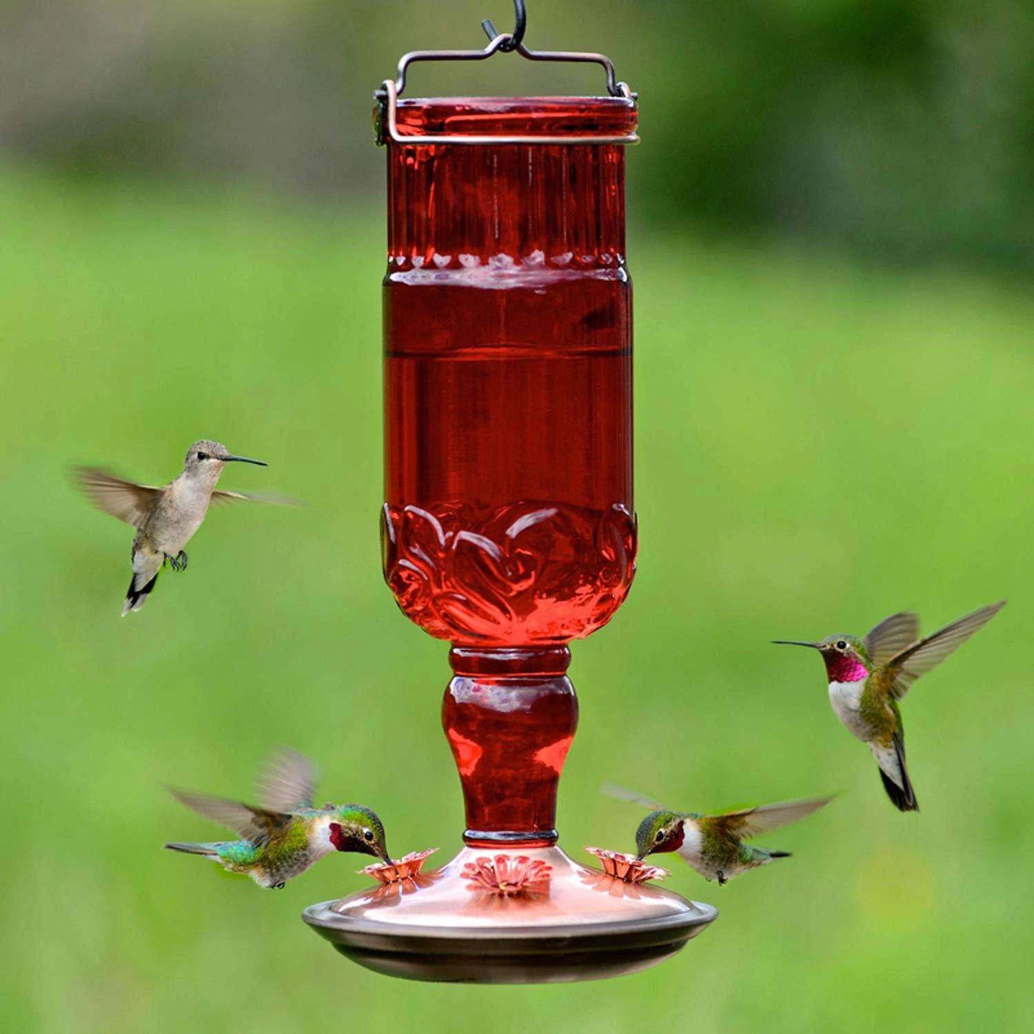 Perky-Pet Hummingbird 24 Oz Glass/Metal/Plastic Nectar Feeder 4 Ports 2 Perky-Pet Hummingbird 24 Oz Glass/Metal/Plastic Nectar Feeder 4 Ports - Image 2