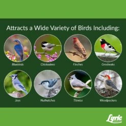 Lyric Fine Tunes Assorted Species Peanut Pieces Wild Bird Food 5 Lb -Nestify Shop 333148f9 efd1 4f2d b8be 391c1dc80f48