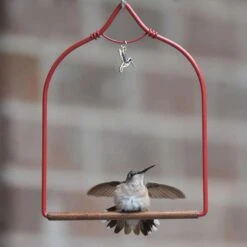 Pop's Birding Company 7 In. H X 5.25 In. W X 0.25 In. D Hummingbird Swing -Nestify Shop 35b752c6 7cc0 4acf a2e4 727c6a62355d