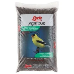 Lyric Finch Nyjer Seed Wild Bird Food 10 Lb