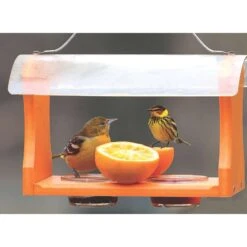 Birds Choice Oriole 2 Cups Plastic Bird Feeder