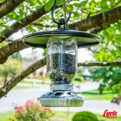 Lyric Assorted Species Black Oil Sunflower Seed Wild Bird Food 5 Lb -Nestify Shop 3a711d97 f153 40dd 86de 5f502bd1dd2f