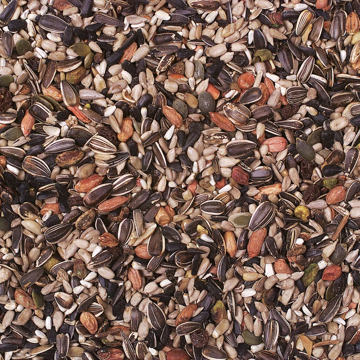 Wild Delight Nut N Berry Assorted Species Sunflower Kernels Wild Bird Food 5 Lb 2 Wild Delight Nut N Berry Assorted Species Sunflower Kernels Wild Bird Food 5 Lb - Image 2