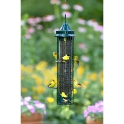 Brome Bird Care SquirrelBuster Goldfinch 1.4 Lb Metal/Plastic Bird Feeder 8 Ports