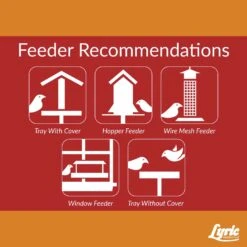 Lyric Cardinal Sunflower Seeds Wild Bird Food 3.75 Lb -Nestify Shop 45e71537 3108 4330 b96d ae8a69d8d534