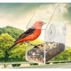 Ideas In Motion Wild Bird & Hummingbird Plastic Window Bird Feeder 1 Ports -Nestify Shop 463f9148 d301 4ec2 a08b 7837392e78c0