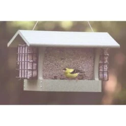 Birds Choice Green Solutions Wild Bird 3 Qt Plastic Hopper Bird Feeder 11 Birds Choice Green Solutions Wild Bird 3 Qt Plastic Hopper Bird Feeder -Nestify Shop 4703c89f 7ef3 48c1 9c05 9c2ed008386b