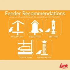 Lyric Chickadee Sunflower Seeds And Peanuts Wild Bird Food 4 Lb -Nestify Shop 4c04696c 4a23 480c 8f84 b6156f62bddd