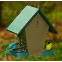 Songbird Essentials Songbird Essentials Wild Bird 1.5 Qt Plastic Hopper Feeder Bird Feeder