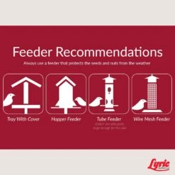 Lyric Assorted Species Fruits And Nuts Wild Bird Food 20 Lb -Nestify Shop 4e0f0186 9fd7 41a9 8909 08f6b201eaca