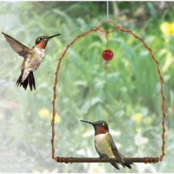 Songbird Essentials 0.25 In. H X 5.5 In. W X 7 In. D Hummingbird Swing