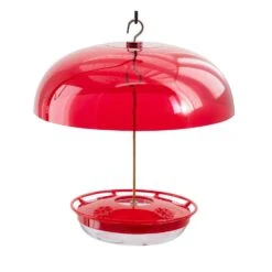 Aspects Aspects 4 In. H X 12 In. W X 12 In. D Weather Dome