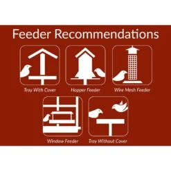 Lyric Assorted Species Safflower Seeds Wild Bird Food 5 Lb 8 Lyric Assorted Species Safflower Seeds Wild Bird Food 5 Lb -Nestify Shop 531eb2a4 4c43 4b5b a4e4 75df8a716d1d