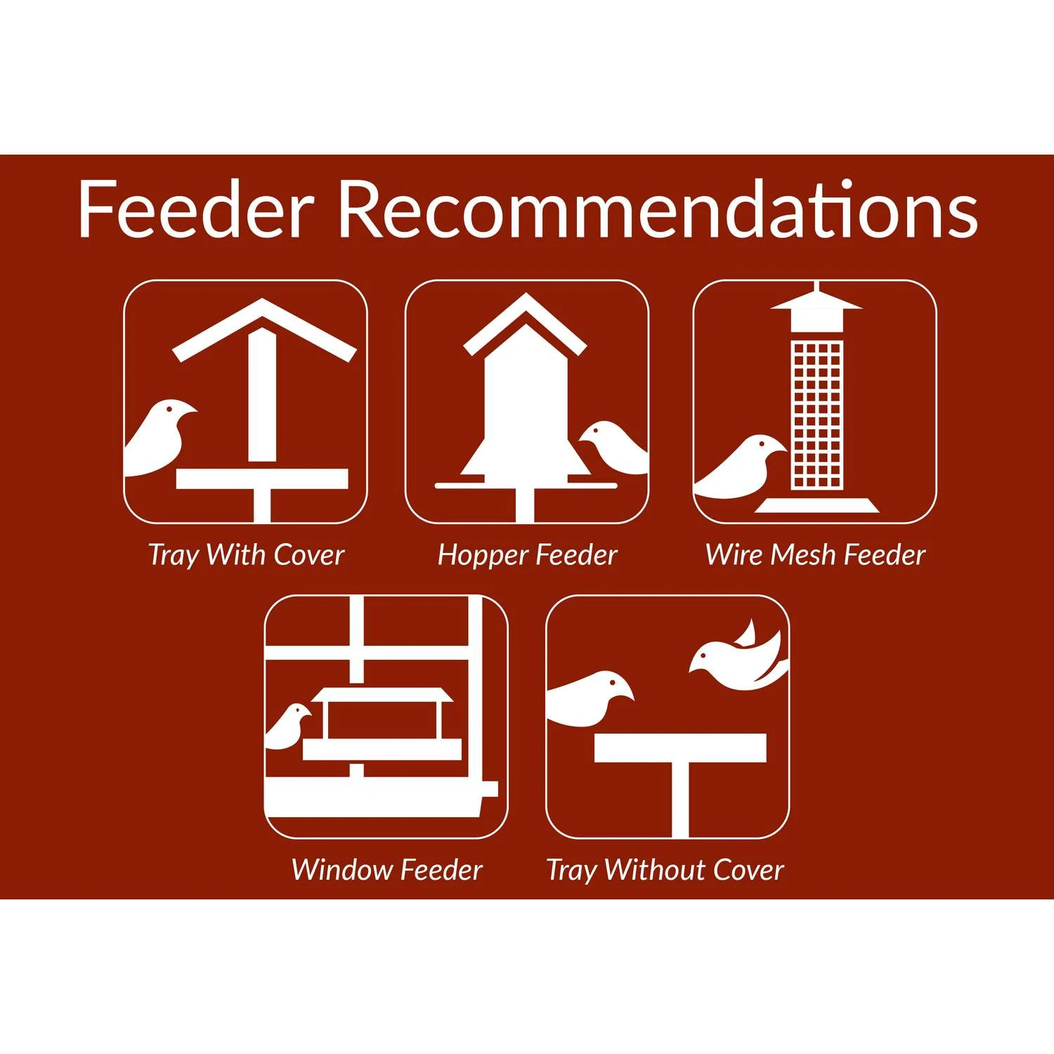 Lyric Assorted Species Safflower Seeds Wild Bird Food 5 Lb 4 Lyric Assorted Species Safflower Seeds Wild Bird Food 5 Lb - Image 4