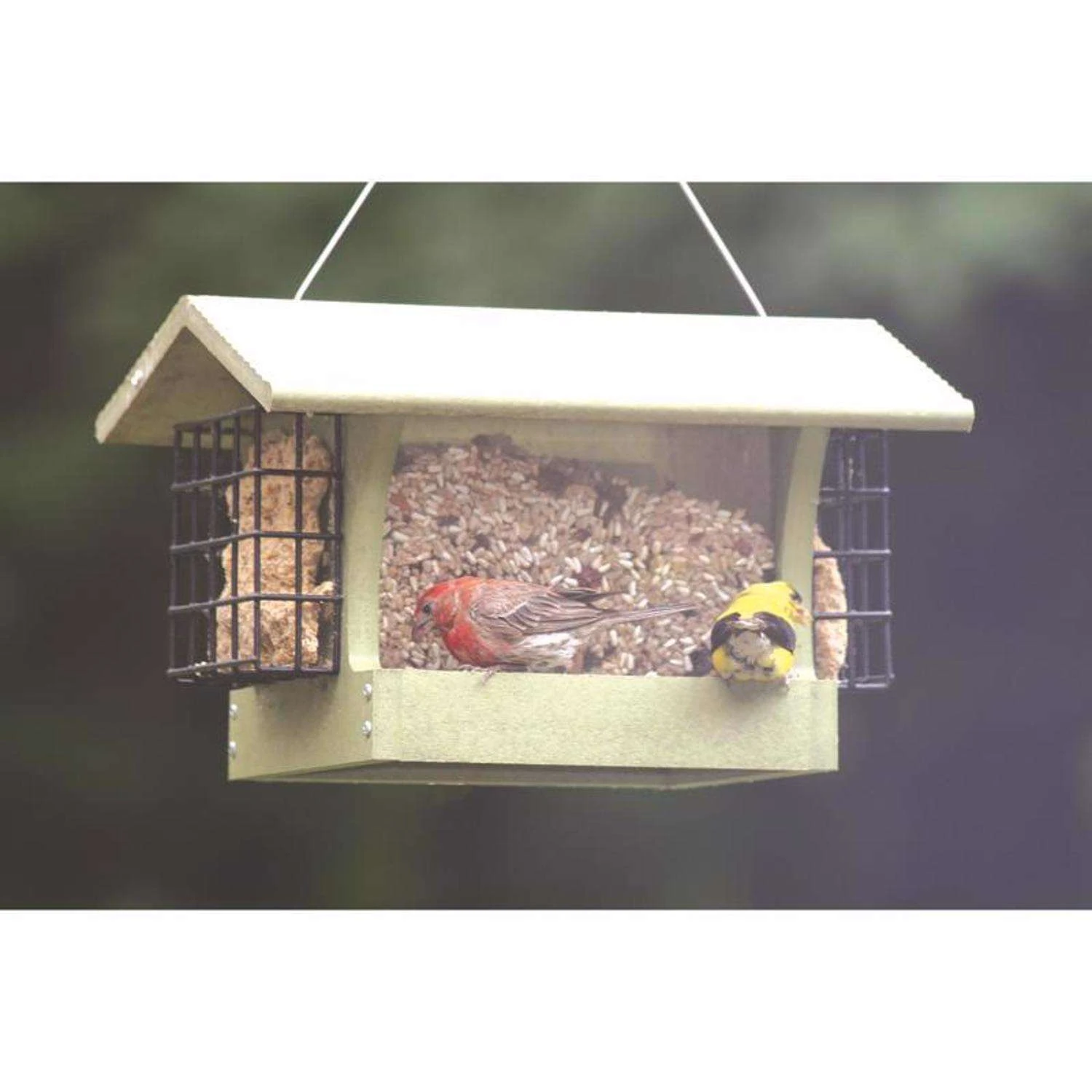 Birds Choice Green Solutions Wild Bird 3 Qt Plastic Hopper Bird Feeder 3 Birds Choice Green Solutions Wild Bird 3 Qt Plastic Hopper Bird Feeder - Image 3