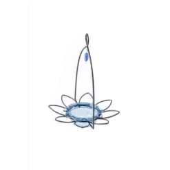 Birds Choice Bluebirds 3 Oz Plastic/Steel Bird Feeder 1 Ports -Nestify Shop 56bcbc91 2570 4c79 9bee 66b4fc8035b0