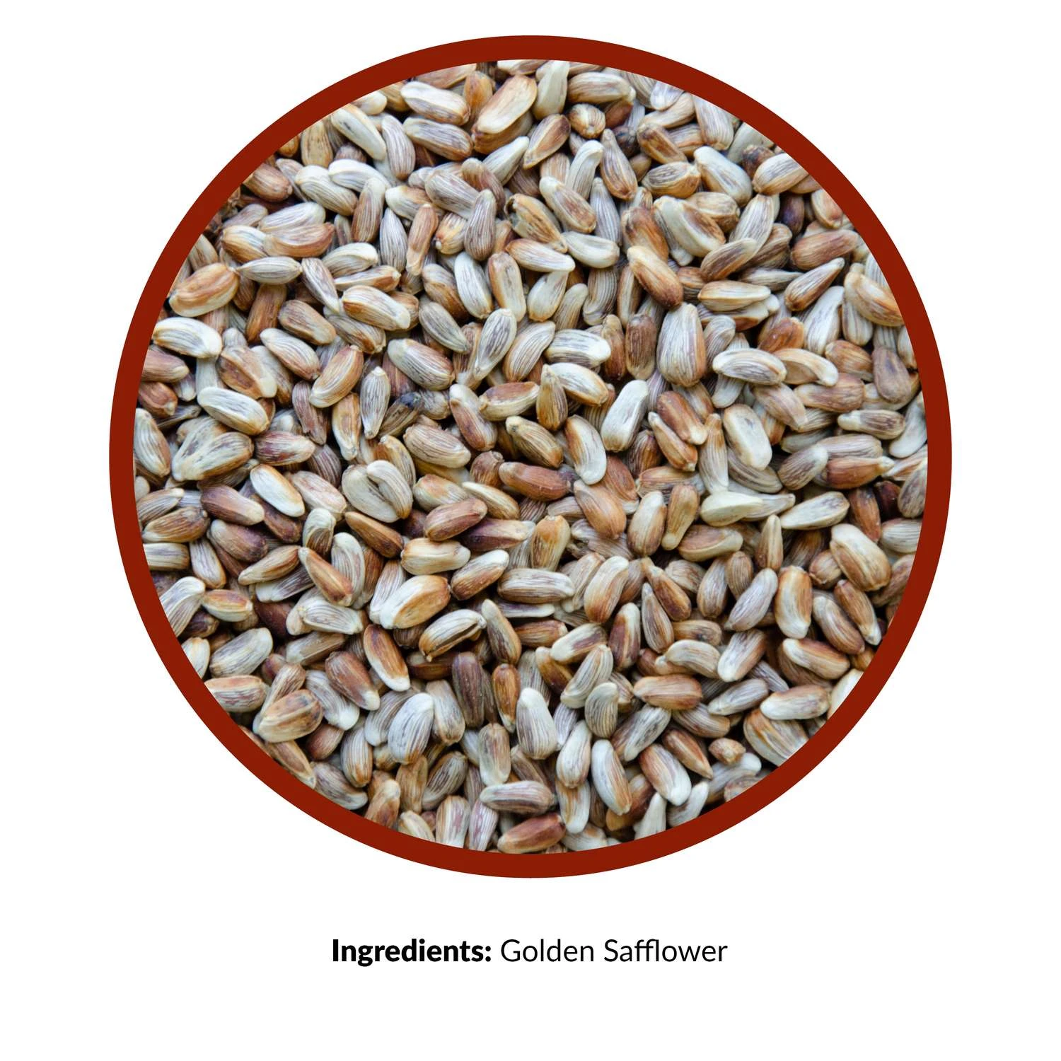 Lyric Assorted Species Safflower Seeds Wild Bird Food 5 Lb 2 Lyric Assorted Species Safflower Seeds Wild Bird Food 5 Lb - Image 2