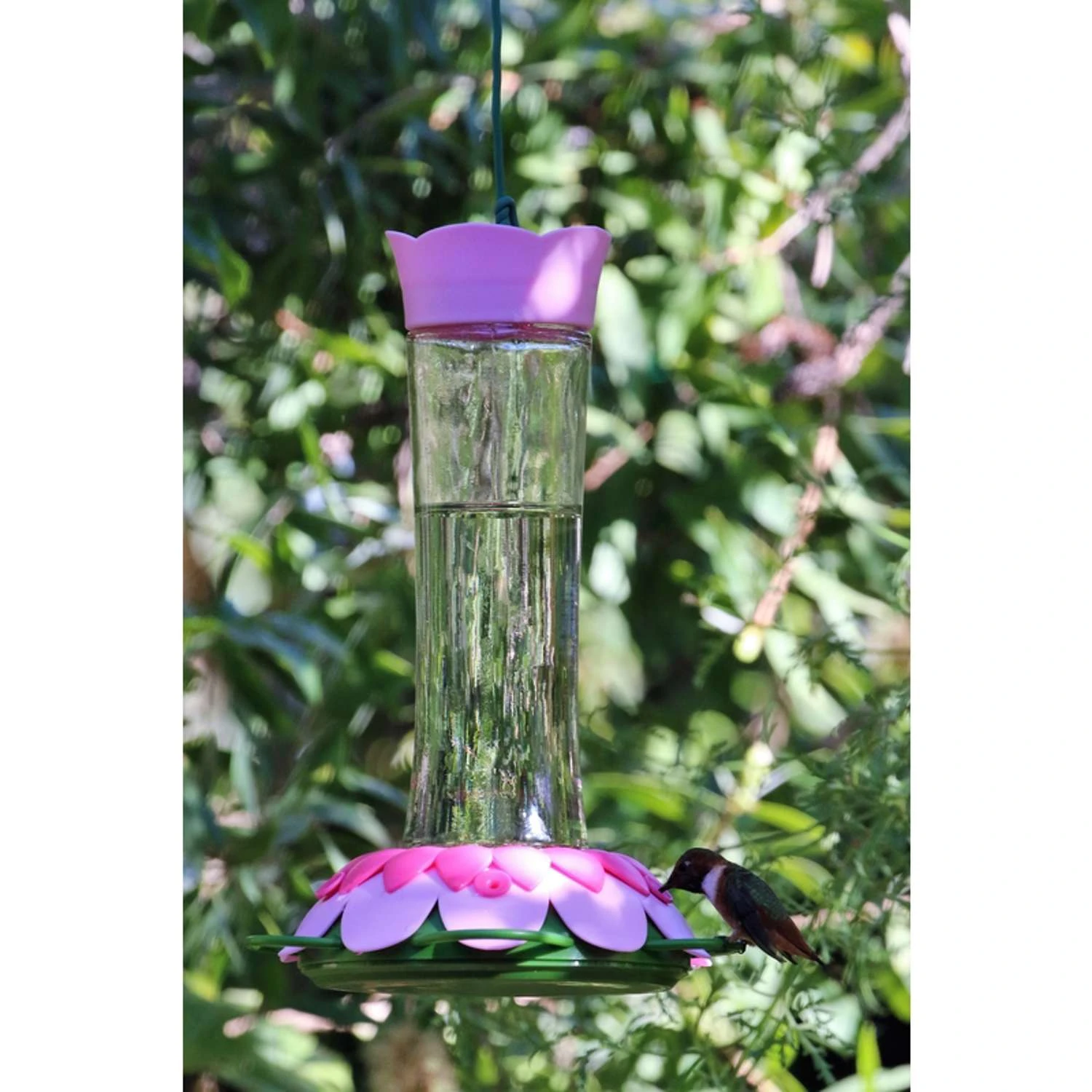 Nature's Way So Real Hummingbird 20 Oz Glass/Plastic Gravity Nectar Feeder 5 Ports 2 Nature's Way So Real Hummingbird 20 Oz Glass/Plastic Gravity Nectar Feeder 5 Ports - Image 2