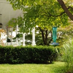 Perky-Pet Hummingbird 10 Oz Glass/Metal Nectar Feeder 4 Ports 9 Perky-Pet Hummingbird 10 Oz Glass/Metal Nectar Feeder 4 Ports -Nestify Shop 68da1cc6 daf4 4590 bc98 1b499687c1e6