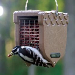 Birds Choice Wild Bird 2 Qt Plastic/Screen Hanging Fruit And Nut Feeder 1 Ports -Nestify Shop 6aa31c7a 92b3 480e b87e e206e13e9983