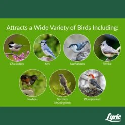 Lyric Woodpecker Peanut Pieces Wild Bird Food 5 Lb -Nestify Shop 6d48c35a 9b98 41d1 87d7 3c98178136d6