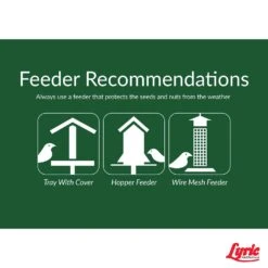 Lyric Chickadee And Nuthatch Peanut Pieces Wild Bird Food 5 Lb 9 Lyric Chickadee And Nuthatch Peanut Pieces Wild Bird Food 5 Lb -Nestify Shop 6ed7caaf 31aa 4151 a333 621b19e31b5c