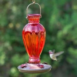 Perky-Pet Hummingbird 18 Oz Glass Daisy Vase Vintage Nectar Feeder 4 Ports 5 Perky-Pet Hummingbird 18 Oz Glass Daisy Vase Vintage Nectar Feeder 4 Ports -Nestify Shop 7404aaaa 8214 4e66 895a 9804dd18309e