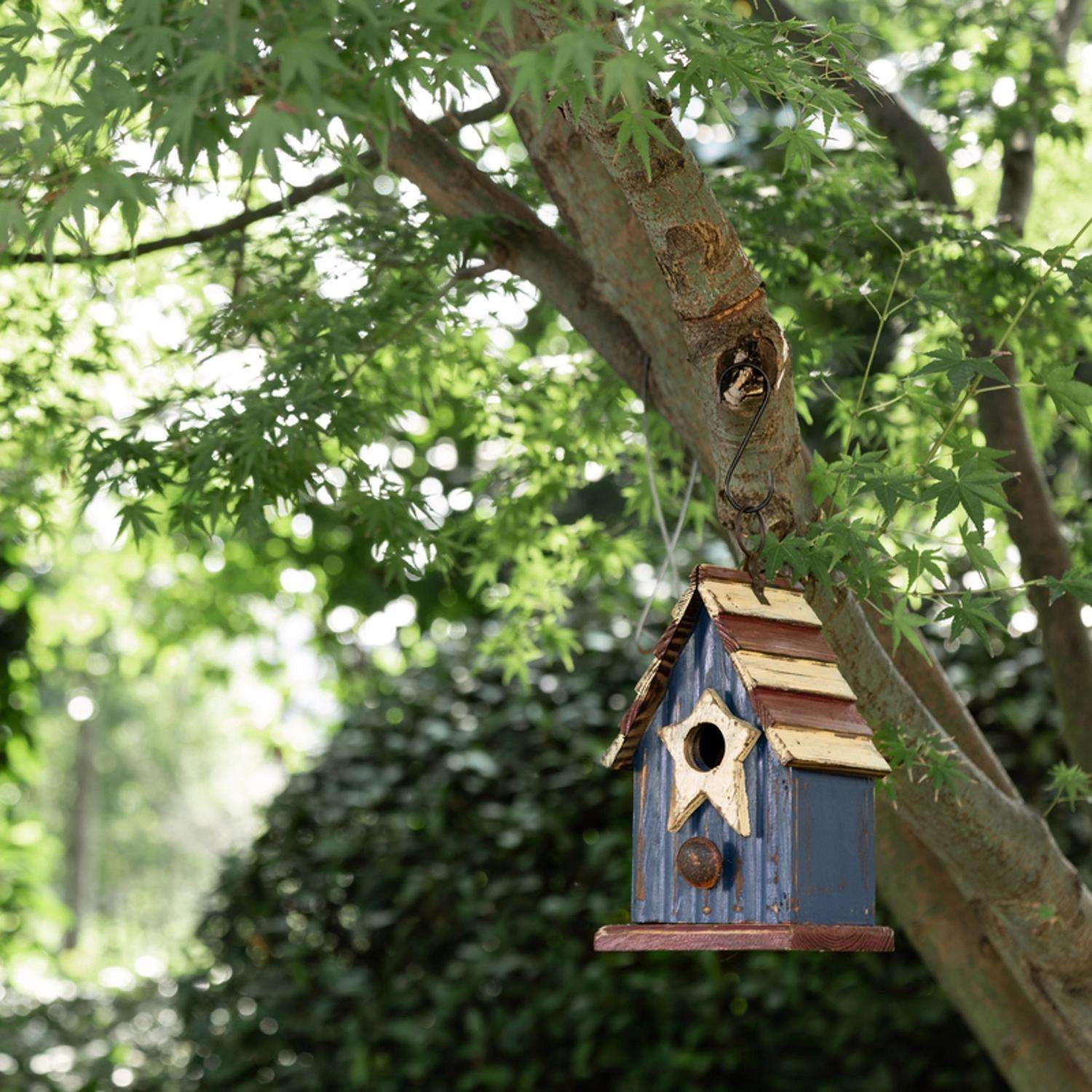 Glitzhome 9.06 In. H X 4.53 In. W X 5.51 In. L Wood Bird House 2 Glitzhome 9.06 In. H X 4.53 In. W X 5.51 In. L Wood Bird House - Image 2