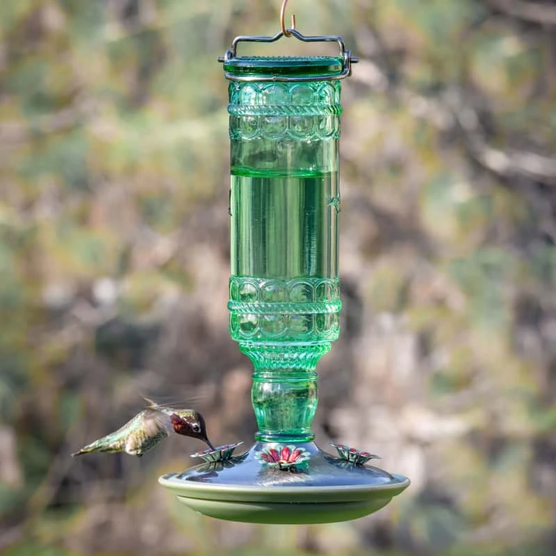 Perky-Pet Hummingbird 10 Oz Glass/Metal Nectar Feeder 4 Ports 2 Perky-Pet Hummingbird 10 Oz Glass/Metal Nectar Feeder 4 Ports - Image 2