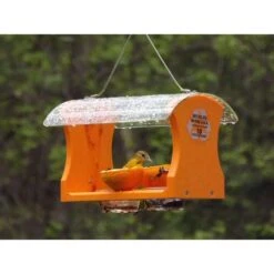 Birds Choice Oriole 2 Cups Plastic Bird Feeder -Nestify Shop 7c8bbab9 5480 48d0 97d7 39d6e8ab8ea7