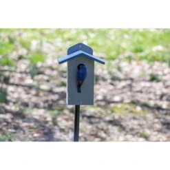 Birds Choice Green Solutions 11.5 In. H X 9 In. W X 6.5 In. L Polyresin Bird House -Nestify Shop 7e424925 1b97 4671 87ec 8de45a1db45c