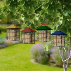 Woodlink Plastic/Steel Suet Cage Double Suet Basket (ASSORTED COLORS) 9 Woodlink Plastic/Steel Suet Cage Double Suet Basket (ASSORTED COLORS) -Nestify Shop 81806a73 fe97 479f a4db 694aec399166