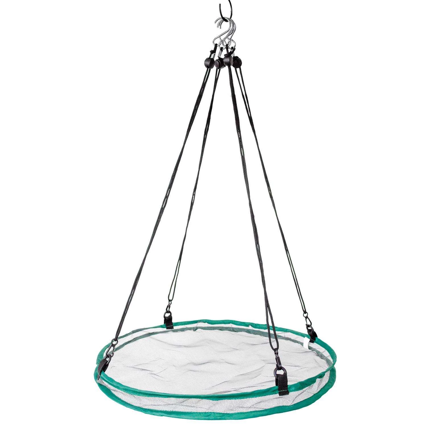 Songbird Essentials 1.13 In. H X 7 In. W X 7 In. D Seed Hoop 2 Songbird Essentials 1.13 In. H X 7 In. W X 7 In. D Seed Hoop - Image 2
