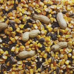 Kaytee Squirrel & Critter Assorted Species Corn Squirrel And Critter Food 10 Lb