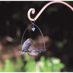 Birds Choice Bluebirds 3 Oz Plastic/Steel Bird Feeder 1 Ports -Nestify Shop 8caa159d dd86 4dfc 8de7 36ab9a5b90cf