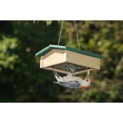Songbird Essentials Songbird Essentials Woodpecker 1 Each Plastic/Wire Upsidedown Suet Feeder Suet B
